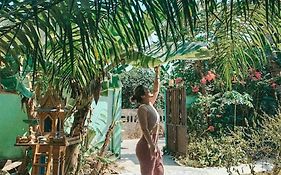Green Garden